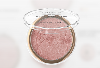 CATR. MORE THAN GLOW HIGHLIGHTER 010