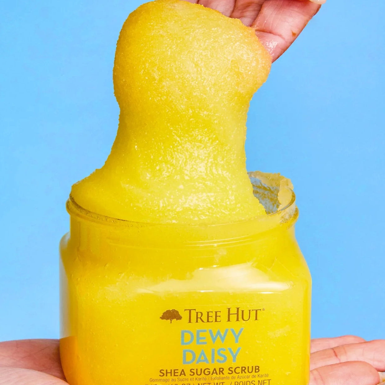 TREE HUT EXFOLIANTE DE AZUCAR DEWY DAISY 510G